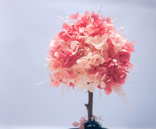 Last Limited Edition Spring Cherry Blossoms Everlasting Flower Ball Tree Gift Decoration Mother S Day No Withered Flowers Shop Dawoko Green Dried Flowers Bouquets Pinkoi