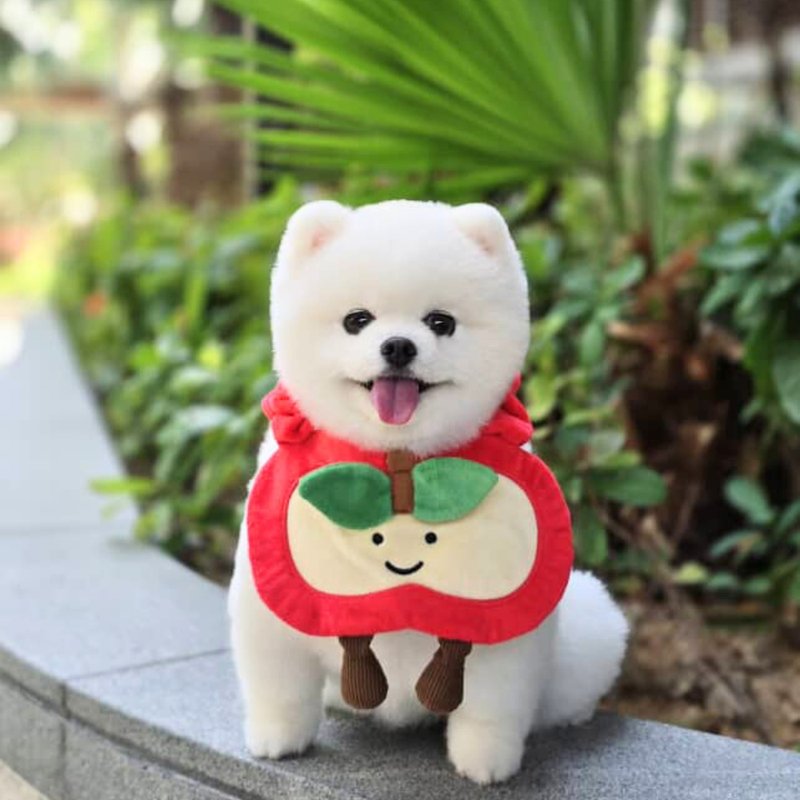 蘋果 寵物圍兜/領巾/口水巾/圍巾 毛绒玩偶 公仔 刺绣 - 寵物衣服 - 其他材質 紅色