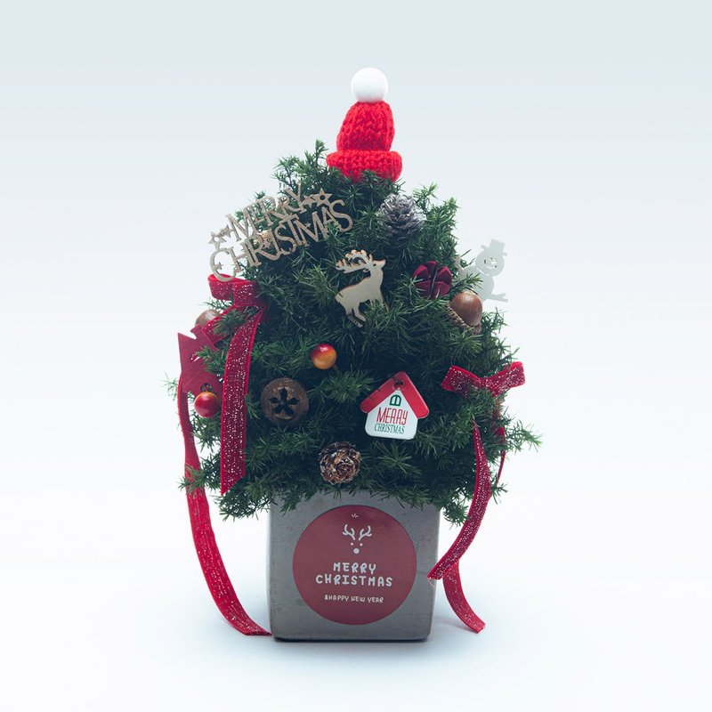 冬日綠意 永生雪松 聖誕限量 交換禮物 聖誕節 聖誕佈置 - 擺飾/家飾品 - 植物．花 