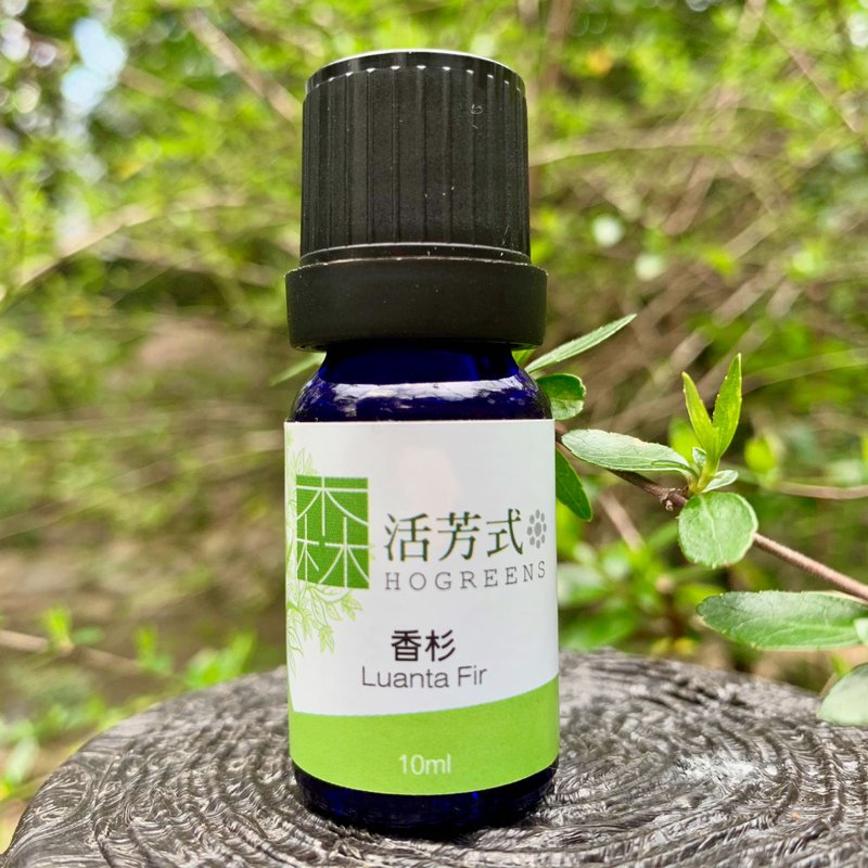 Taiwan Luanta Fir Essential Oil - Fragrances - Plants & Flowers 