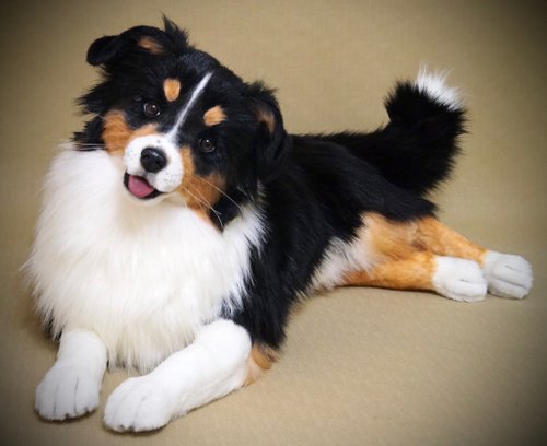 Preorder! Australian Shepherd, aussi Lifesize poseable 澳大利亚牧羊犬,澳大利亚牧羊犬, -  Shop Rainbow_Art_Creatures Stuffed Dolls & Figurines - Pinkoi