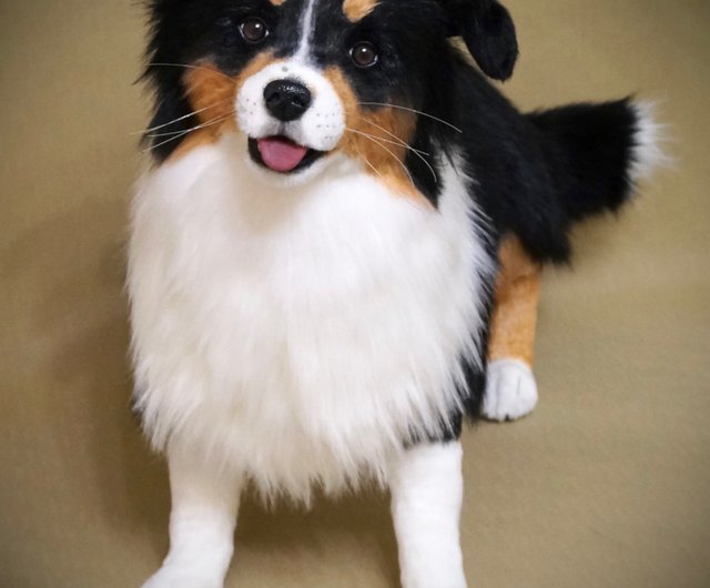 Preorder! Australian Shepherd, aussi Lifesize poseable 澳大利亚牧羊犬,澳大利亚牧羊犬, -  Shop Rainbow_Art_Creatures Stuffed Dolls & Figurines - Pinkoi