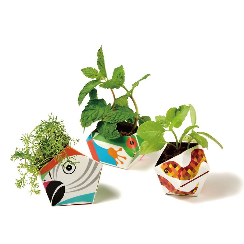 German origami potted plant combination - macaw, red-eyed tree frog, tree viper - จัดดอกไม้/ต้นไม้ - วัสดุอื่นๆ 