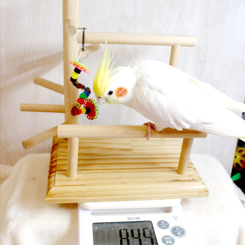 鳥のおもちゃ　体重計にもなる・インコのプチバードジム　01S - 貓/狗玩具 - 木頭 
