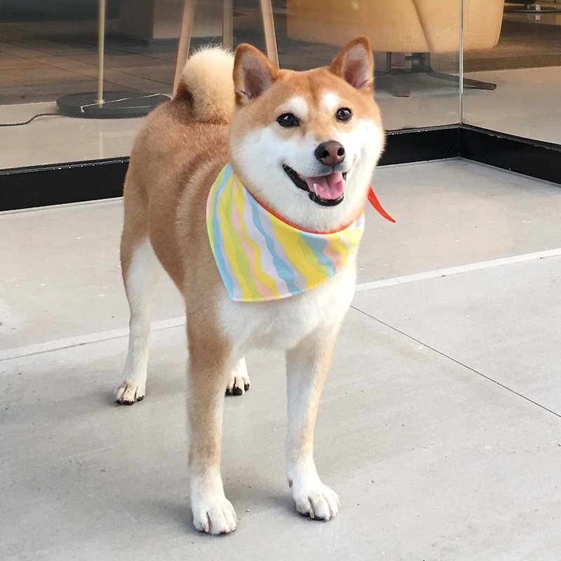 Dog Exclusive Name Scarf-Customized (Medium-sized Dog)-Wave - Collars & Leashes - Cotton & Hemp Yellow