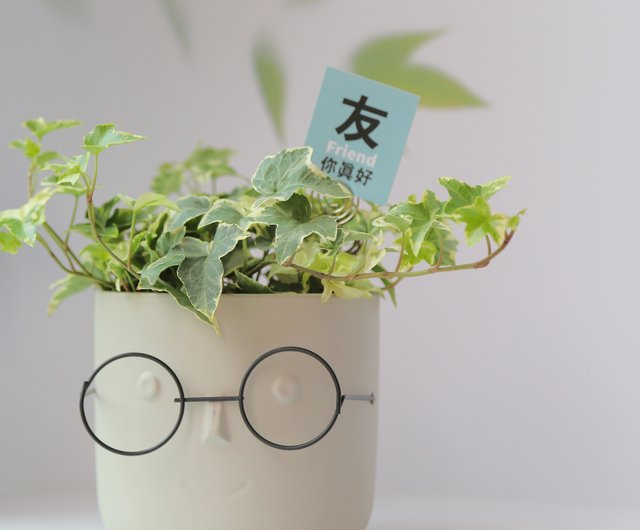あなたはとても素敵です]Wenqing友情鉢植え（フラワーカード