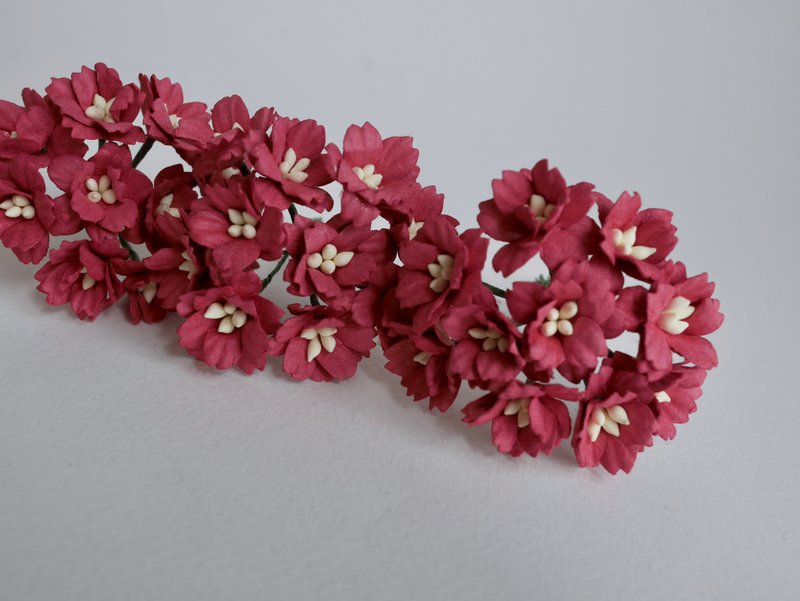 Paper flower, Wedding, 50 pcs. cherry blossom supplies, 2 cm. dark red color. - 木工/竹藝/紙雕 - 紙 紅色