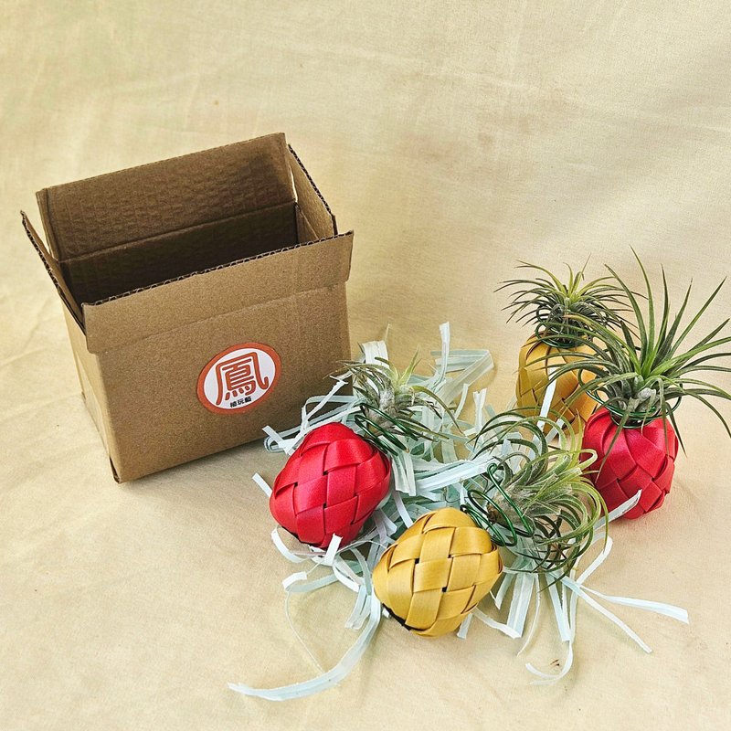 【採れたてエアプランツ】エアプランツ付き／1個 - 観葉植物 - プラスチック レッド