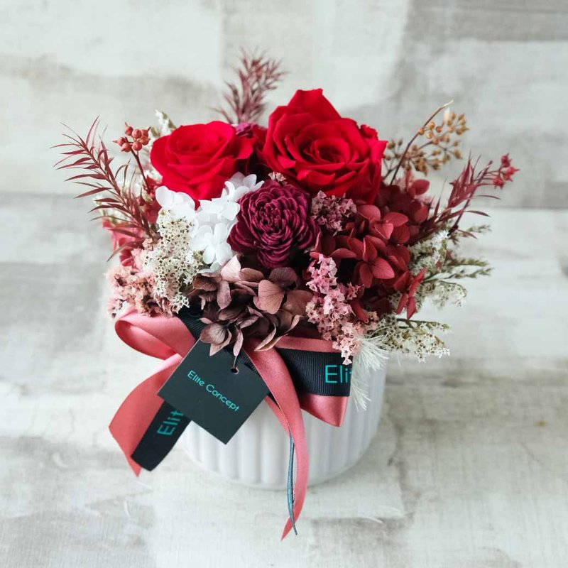 Elegant red everlasting potted flowers | Everlasting flowers - ตกแต่งต้นไม้ - พืช/ดอกไม้ สีแดง