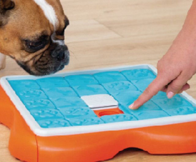 Outward Hound Nina Ottosson Challenge Slider Interactive Treat Puzzle Dog  Toy, Advanced