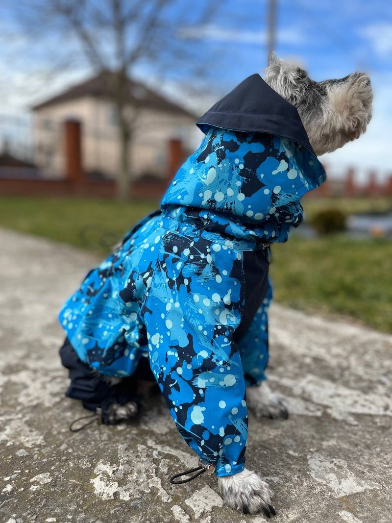 Raincoat for dog - ชุดสัตว์เลี้ยง - วัสดุกันนำ้ สีน้ำเงิน