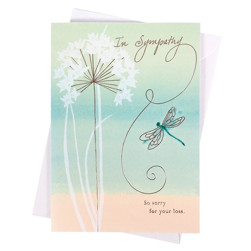 I am deeply sorry about your loss. - Cards & Postcards - Paper Green