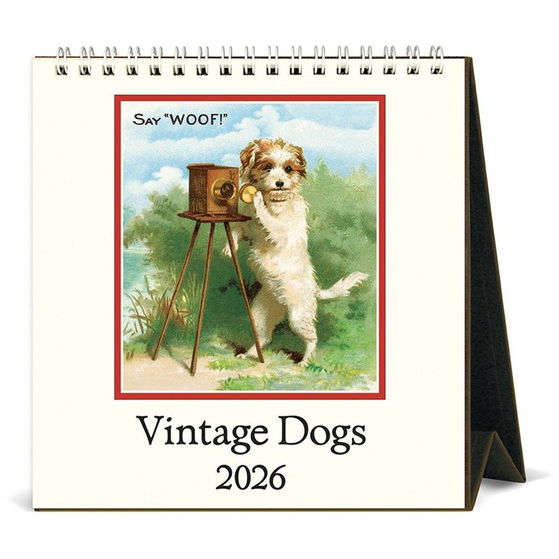 Cavallini & Co.  2026 桌曆\月曆 VINTAGE DOGS - 日曆/月曆/年曆 - 紙 多色