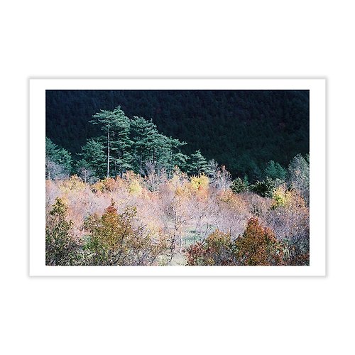 Sixtyeightcolors Nature Postcard, Real Photo Postcard, 4x6 Postcard