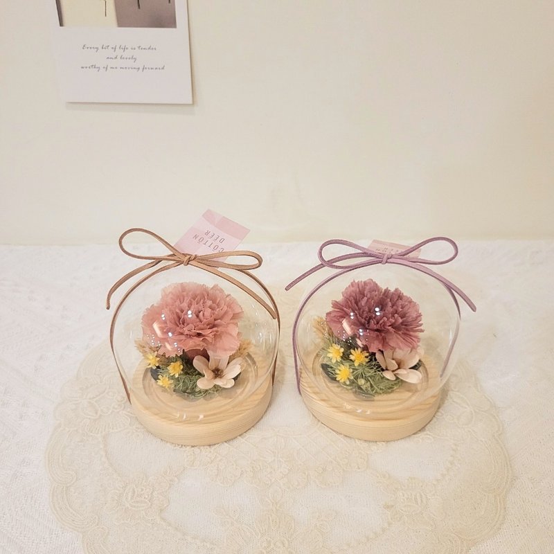 永生康乃馨玻璃球罩盅。擺飾。附包裝。母親節禮物 - 乾燥花/永生花 - 植物．花 