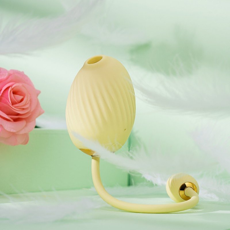 American SVAKOM-Bean Fun Bird PLUS GIGI Sucking + Vibrating EggBlowjob Sucking Massager to Send Lubricant - アダルトグッズ - シリコン 多色