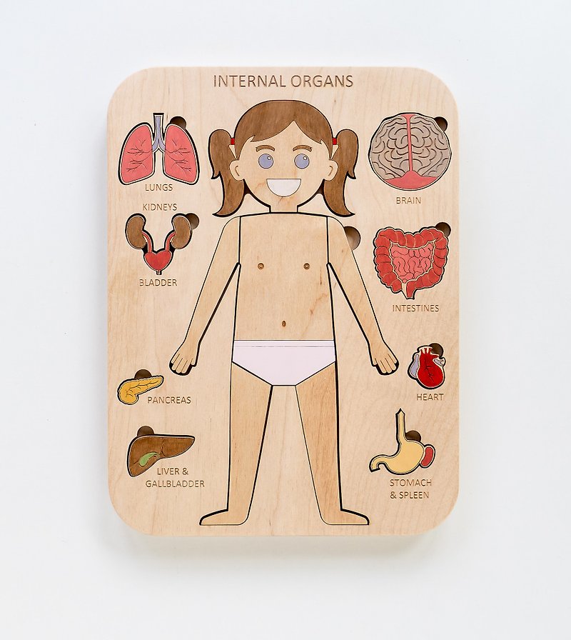 Human body Wooden Internal organs human Montessori Anatomy game science play - 寶寶/兒童玩具/玩偶 - 木頭 黃色