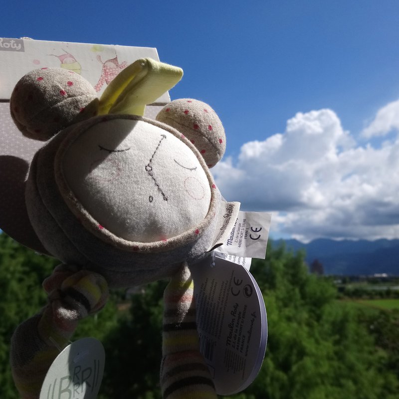 法國 Moulin Roty Les Petits Dodos 早安娃娃 H 21cm - 滿月禮物 - 其他材質 灰色