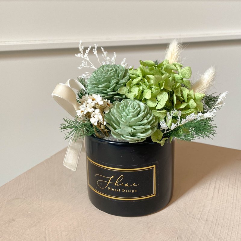 Mint green everlasting diffuser potted flower (black) - ช่อดอกไม้แห้ง - พืช/ดอกไม้ สีเขียว