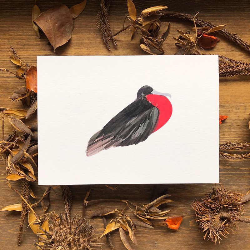 Bird Bird Series Frigate Bird Postcard - การ์ด/โปสการ์ด - กระดาษ สีดำ