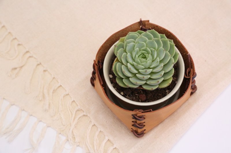 【the MOMENT Series】Handmade Leather Flowerpot Cover-Small - ตกแต่งต้นไม้ - หนังแท้ 