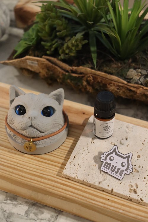 曙muse feather 曙MUSE 長毛貓咪頭水泥擴香石擺飾 送精油 送徽章
