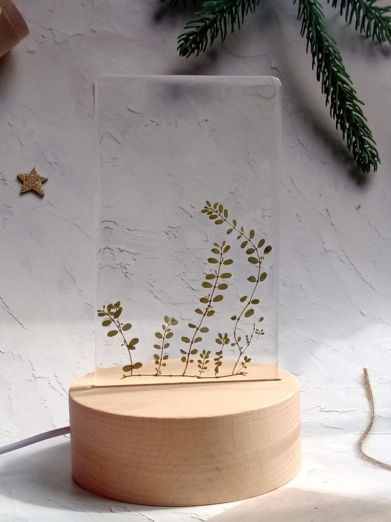 手作押花療愈LED小夜燈 | 花花草草 - 燈具/燈飾 - 樹脂 綠色