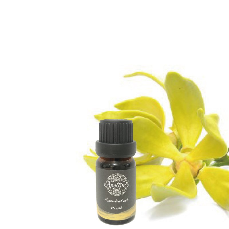 Premium Ylang Ylang/Perfume Tree Essential Oil YLANG YLANG - Fragrances - Essential Oils 