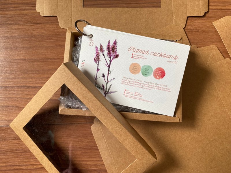 Daily Flower CALENDAR CARD SET - 1-Month Postcard- Sized Booklet - 卡片/明信片 - 紙 白色