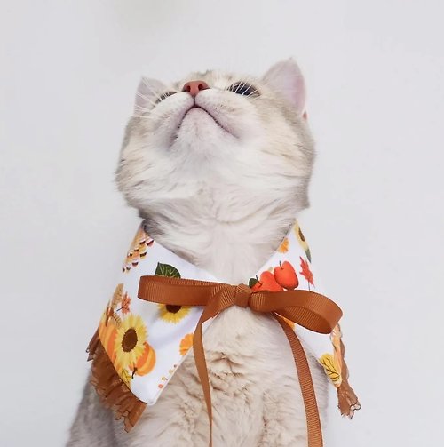 Purrcraft Thanksgiving Bib - for cat and dog. Free size