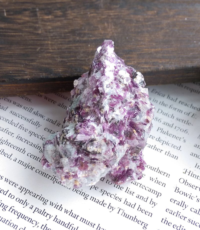 Lepidolite 坦桑尼亞產地 紫鋰雲母 鋰雲母 鱗雲母 天然礦石 原礦 - 擺飾/家飾品 - 其他材質 