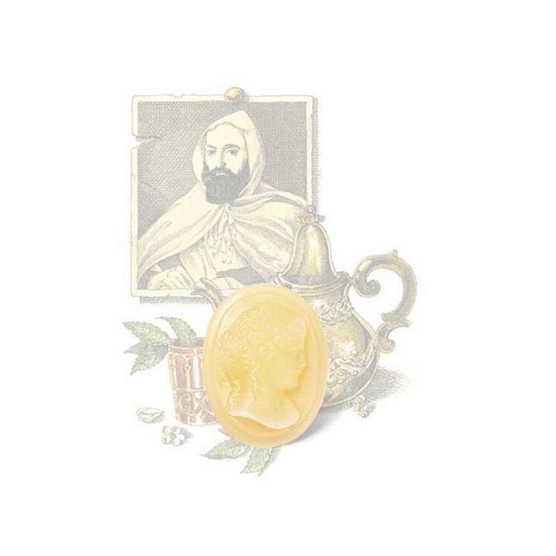 Cire Trudon 摩洛哥薄荷茶香氛蠟塊 - 香氛蠟燭/燭台 - 蠟 金色