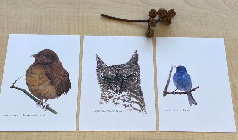コノハズクの手描きポストカード3枚セット - はがき・メッセージカード - 紙 ホワイト