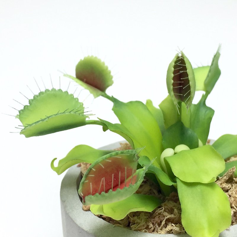 Biomimetic clay carnivorous plant Venus flytrap - ของวางตกแต่ง - ดินเหนียว 