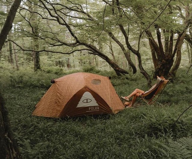 POLER TWO MAN TENT double tent Brown mushroom limited