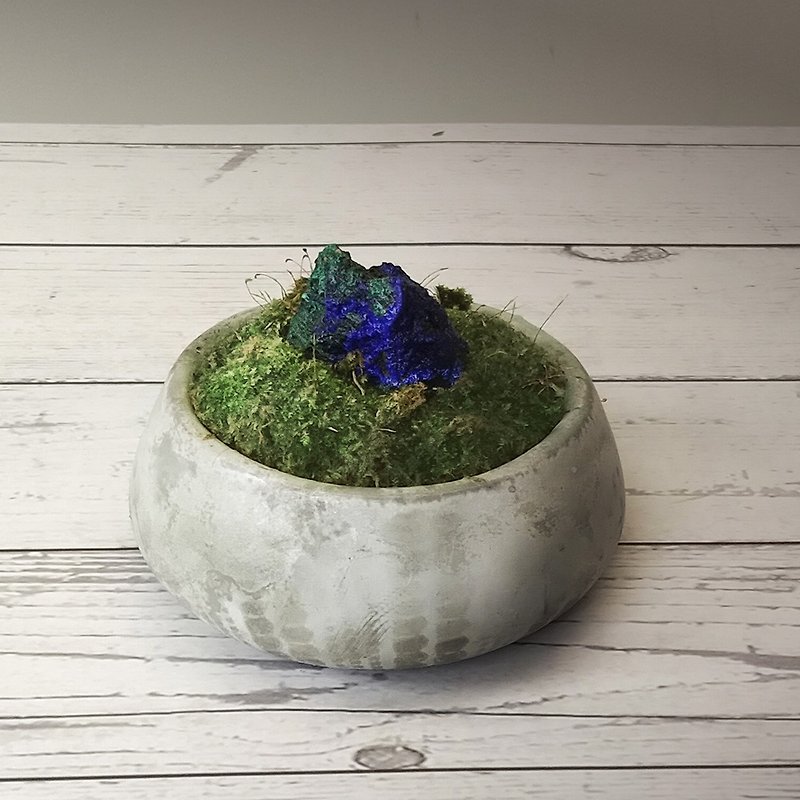 オープニング風水～苔花の器シリーズ～ - 観葉植物 - 半貴石 