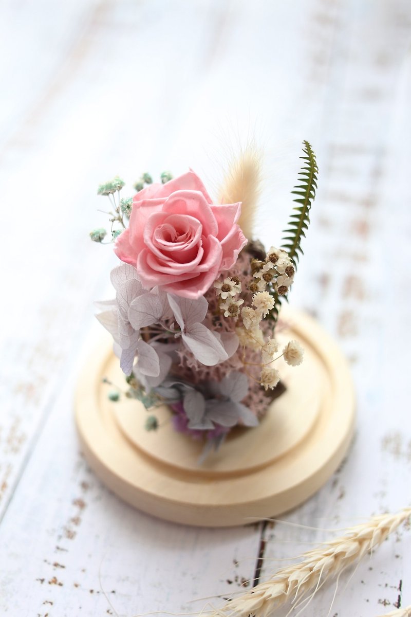 璎珞 Manor*S*Glass cover 永 / eternal flower. Dry flower / Valentine's Day gift / gift preferred - Dried Flowers & Bouquets - Plants & Flowers 
