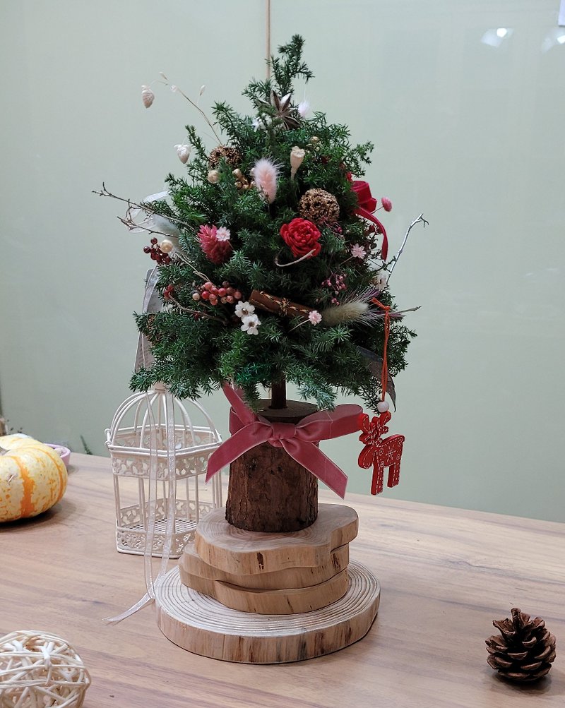 Cedar Wishing Small Christmas Tree - Dried Flowers & Bouquets - Plants & Flowers Green