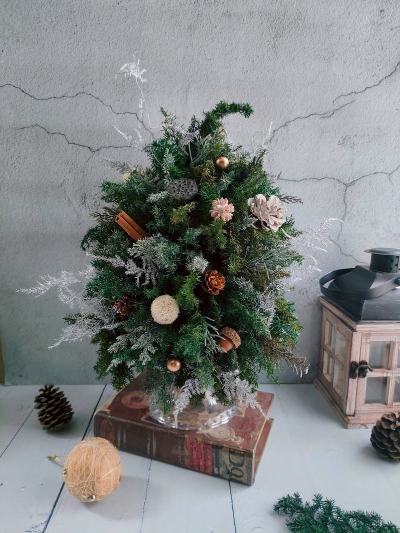 【一人成班】花藝-點亮你的角落(聖誕樹)  永生聖誕樹 - 植栽/花藝 - 植物．花 