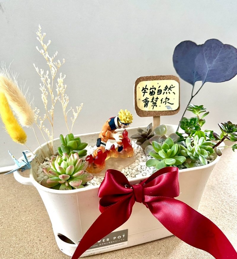 多肉組盆 多肉植物 日式 火影忍者 鳴人 NARUTO 漩渦鳴人 生日禮 - 盆栽/植栽 - 植物．花 綠色