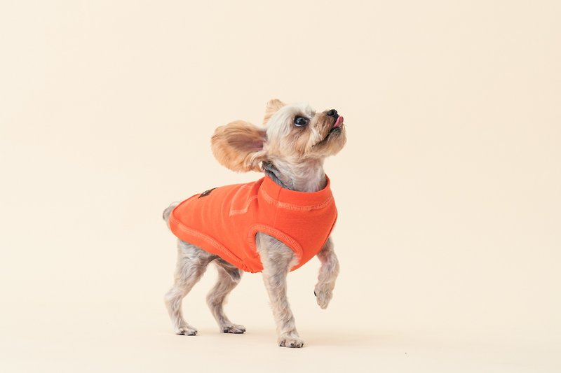 [Tail and me] pet clothes house vest orange - ชุดสัตว์เลี้ยง - ผ้าฝ้าย/ผ้าลินิน สีส้ม