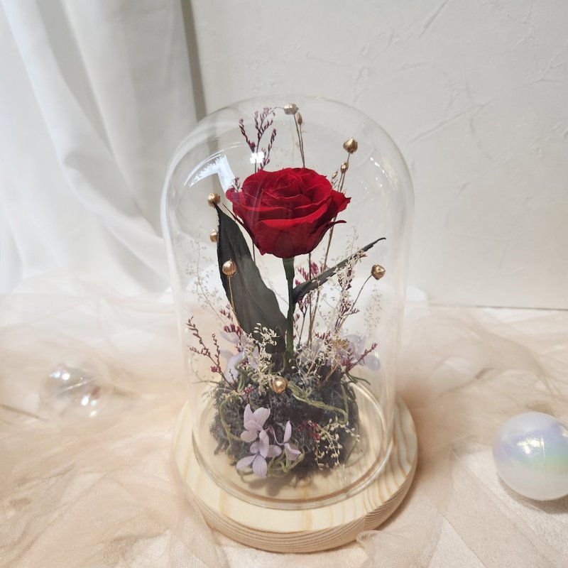 小王子玻璃花鐘 (紅色款) 不凋花 永生花 乾燥花 永生花小夜燈 - 乾燥花/永生花 - 植物．花 紅色