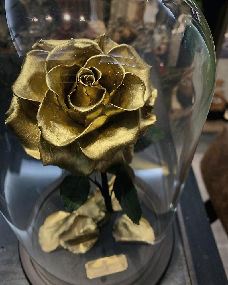 Rose Tanabata 804 Valentine's Day Immortal Flower Undying Flower Classic Unbeaten Rose Gold Ecuadorian Rose - Items for Display - Plants & Flowers Gold