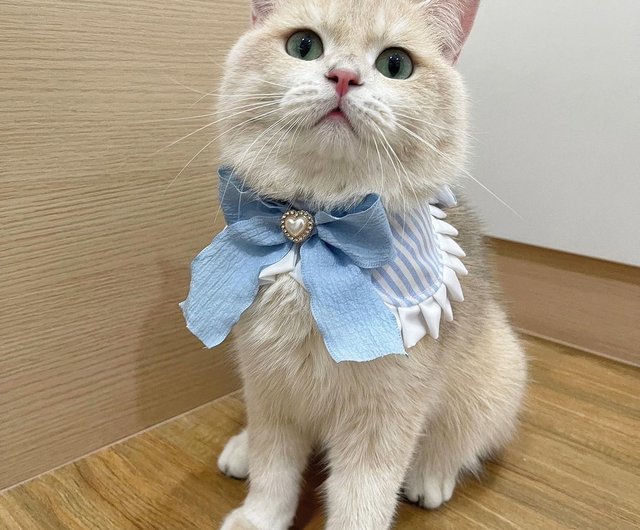 カメリア(ホワイト)わんちゃん猫ちゃん用首輪