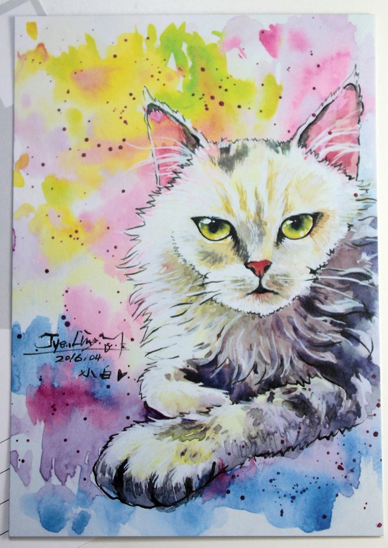 [喵信片] 水彩手繪貓 - 霸氣小白貓 (單張購買區) - 卡片/明信片 - 紙 多色