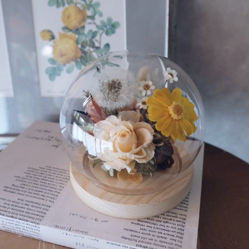 Queen Flower 花藝 永生蒲公英 / 百日草/花禮/ 玻璃鐘罩 / 永生花禮/ 開幕花禮