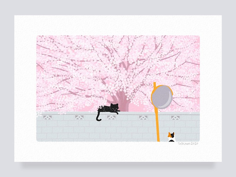 Art print / 04. Under the Sakura tree