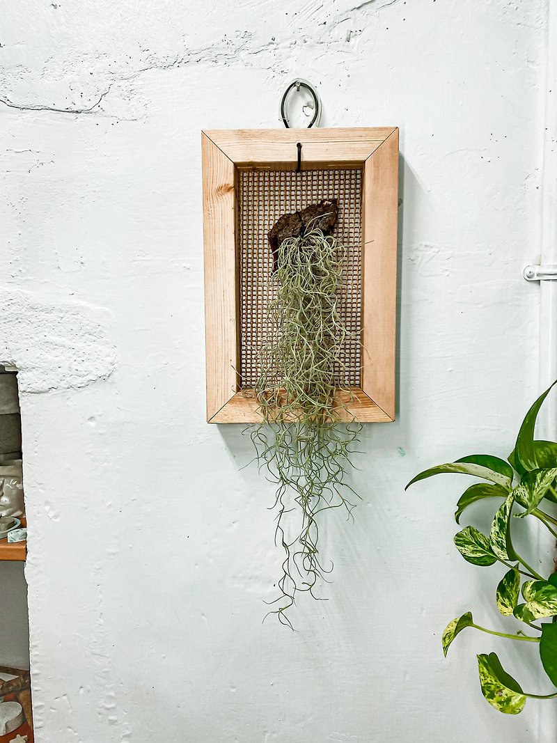 【Usnea Air Phoenix Picture Frame】Texture Picture Frame/Home Decoration/Air Pineapple - Plants - Plants & Flowers Green