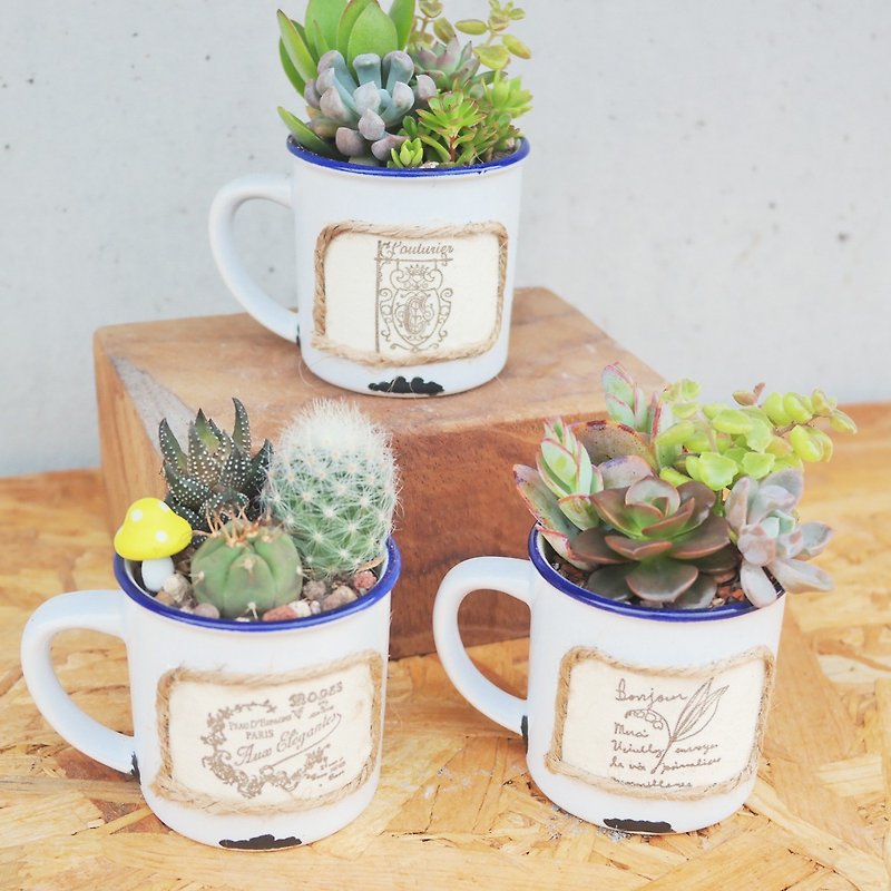 [Doudou Succulents] Housewarming│Gifts│Promotion│Succulents│-Blue-edged miscellaneous style ceramic cup set - ตกแต่งต้นไม้ - ดินเผา 