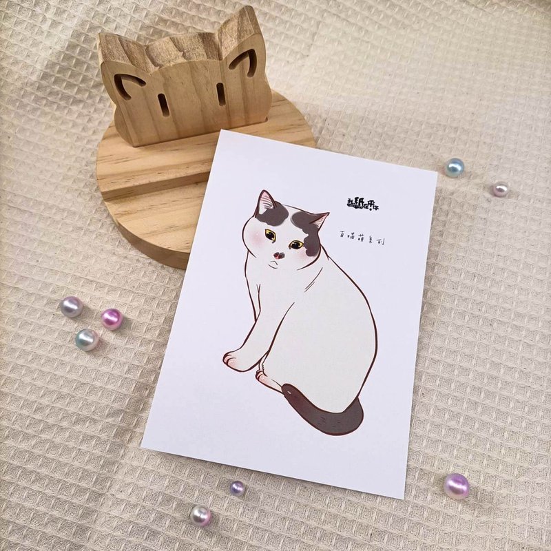 ME183-53_我紙在乎你百喵萌明信片_postcard - 卡片/明信片 - 紙 多色